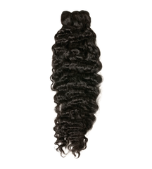 Burmese Curly